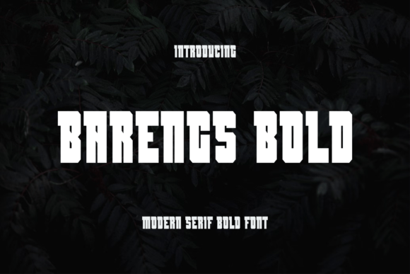Barengs Serif Font for Bold Campaign Design