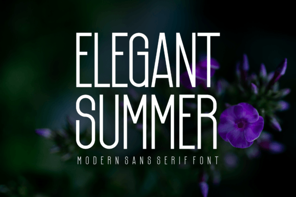 Elegant Summer: A Modern Sans Serif Font for Web Design