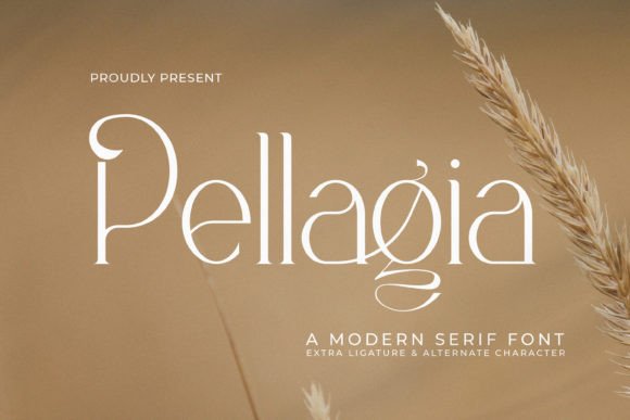 Pellagia Serif Font Review